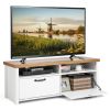 41.5 Inch Modern TV Stand with 2 Cabinets for TVs up to 48 Inch